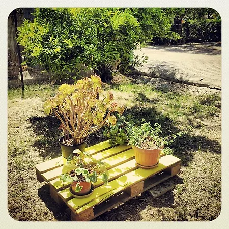 Vale Mery Βιέστε