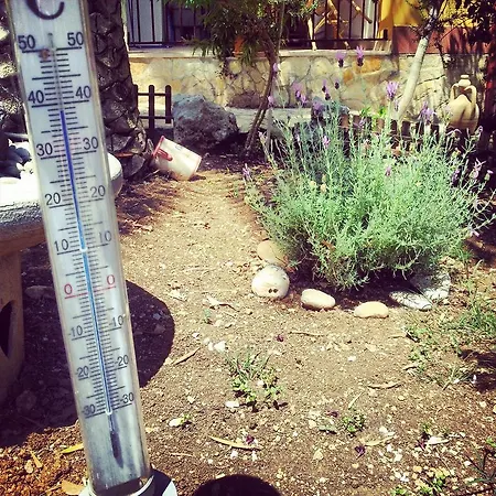 Lejlighed Vale Mery Vieste